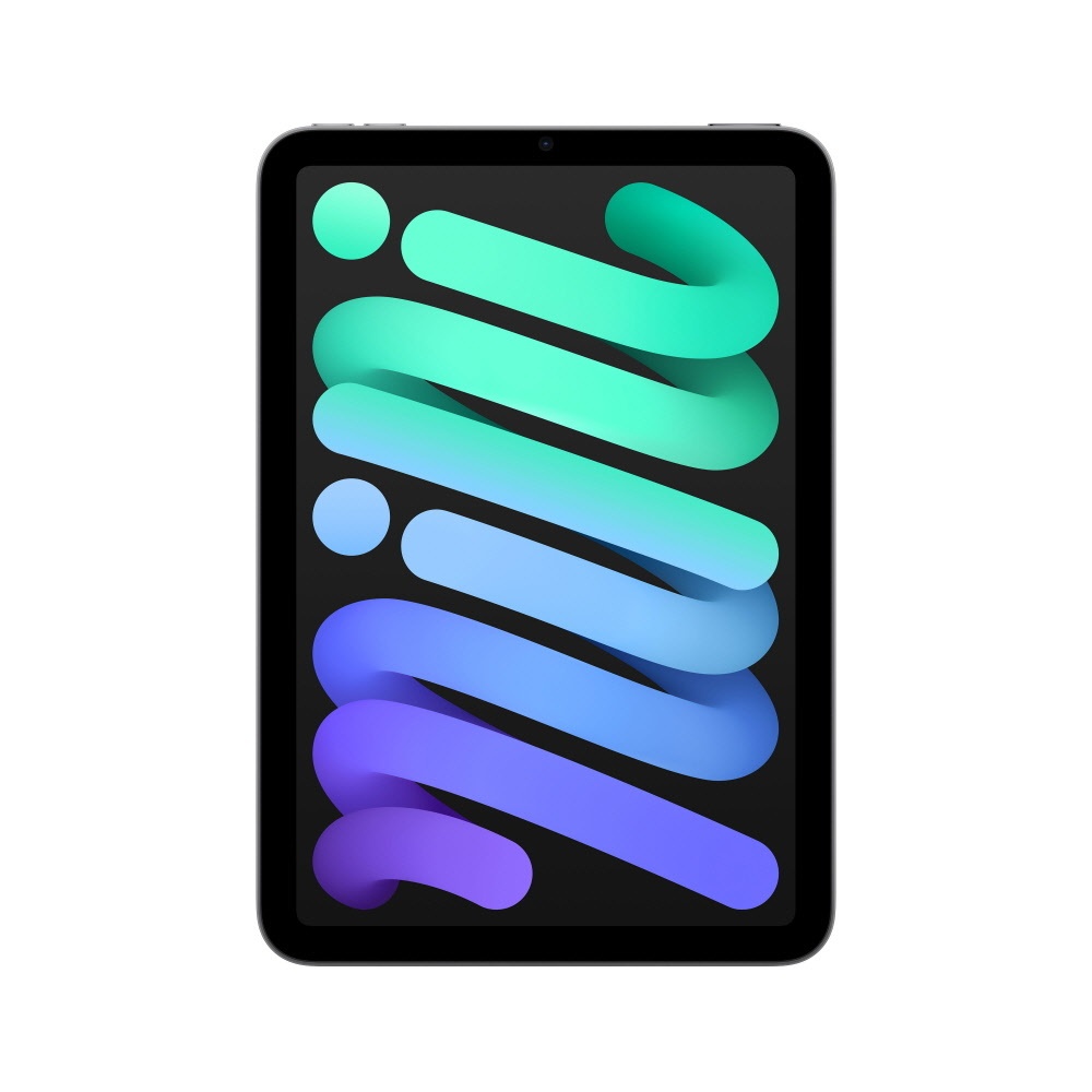 Apple 아이패드 미니 7세대 Wi-Fi 스페이스그레이 128GB, 완벽한 선택