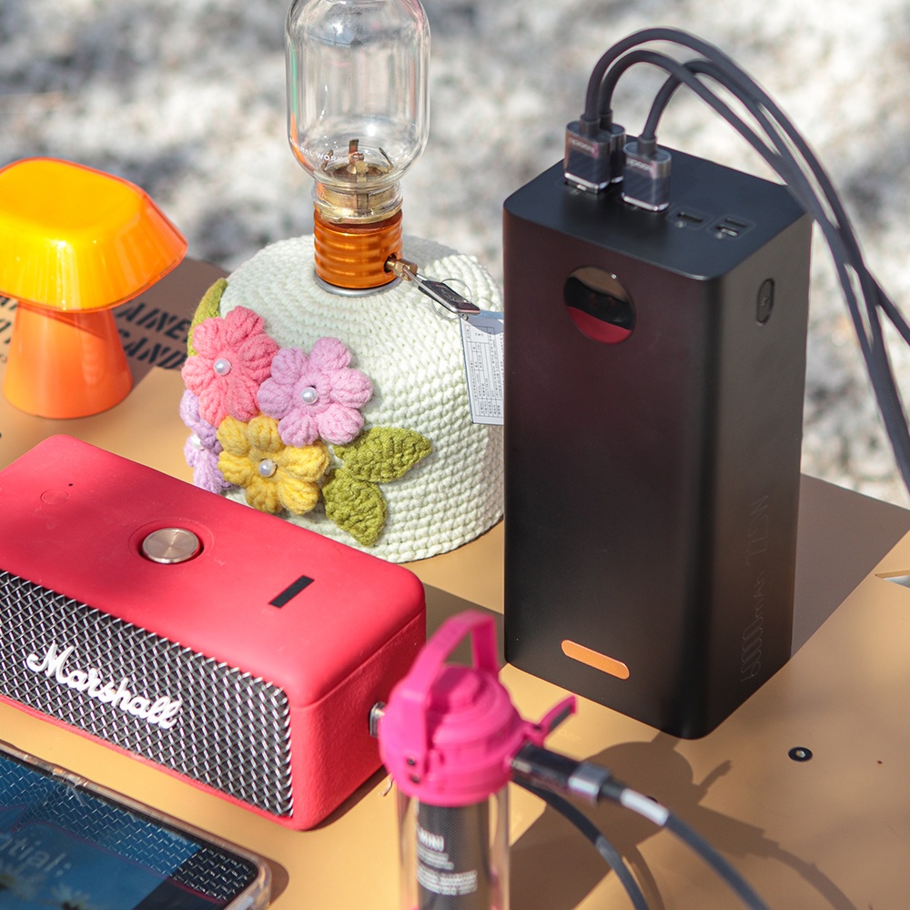 “로모스 PEA60 고속충전 대용량 차박 캠핑용 보조배터리 60000mAh” 솔직 후기